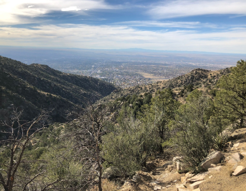 A scenic view of a valley surrounded by mountains, with sparse vegetation and a clear blue sky above.