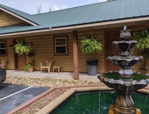 A decorative fountain in front of a rustic building with green ferns and chairs, surrounded by a small pond.