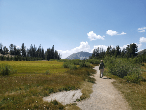 A person walks along a dirt path through a grassy field, surrounded by trees and mountains under a blue sky.