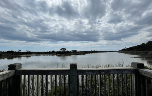 A serene view of a calm river surrounded by tall grasses, under a cloudy sky from a wooden observation deck.
