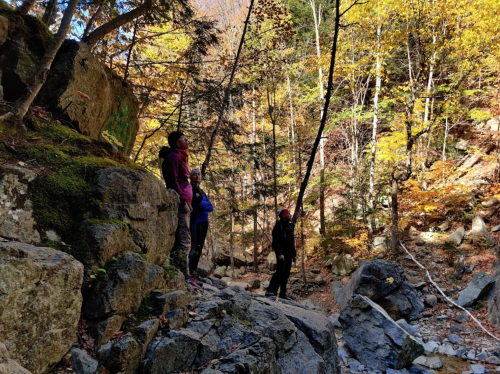 Three hikers stand on rocky terrain surrounded by colorful autumn foliage in a forested area.