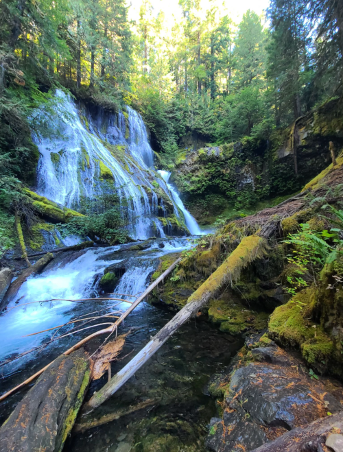 A serene waterfall cascades over moss-covered rocks, surrounded by lush green trees and a clear stream below.