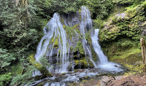 A serene waterfall cascades over moss-covered rocks, surrounded by lush green foliage in a tranquil forest setting.