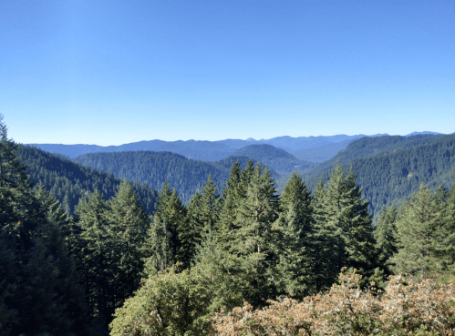 A panoramic view of lush green mountains and trees under a clear blue sky.