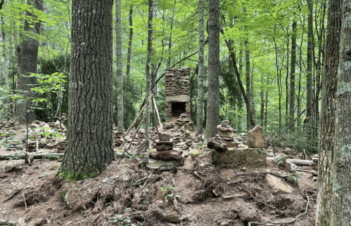 A forest scene featuring stacked stones and a stone structure among tall trees and lush greenery.