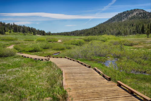 A wooden boardwalk winds through a lush green meadow with distant mountains under a clear blue sky.