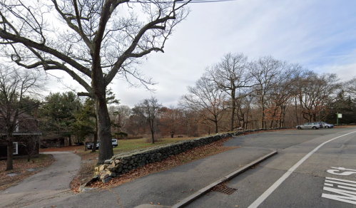 A quiet road curves around a stone wall, lined with bare trees and a few parked cars in a wooded area.