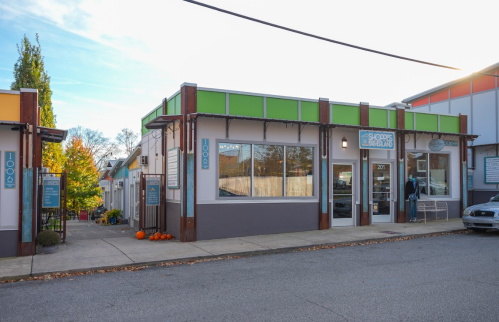 A colorful storefront with green accents, surrounded by trees and pumpkins, on a quiet street.