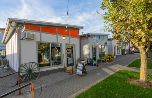 A row of modern storefronts with large windows, colorful accents, and a tree in a grassy area nearby.