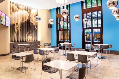 Modern dining area with sleek tables, chairs, and large windows, featuring artistic jellyfish wall decor.