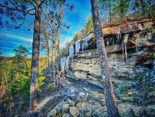 A rocky cliff with icicles hangs above a forested path, surrounded by trees under a clear blue sky.