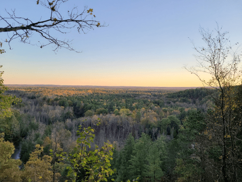 A scenic view of a forested landscape at sunset, with trees in various shades of green and hints of autumn colors.