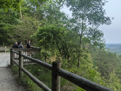A wooden lookout with three people sitting, surrounded by lush greenery and a distant view of rolling hills.
