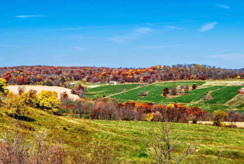 A scenic landscape featuring rolling hills with vibrant autumn foliage and clear blue skies.