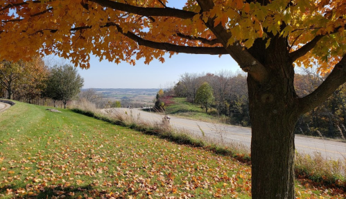 A scenic view of a road lined with autumn trees and colorful leaves, overlooking rolling hills in the distance.