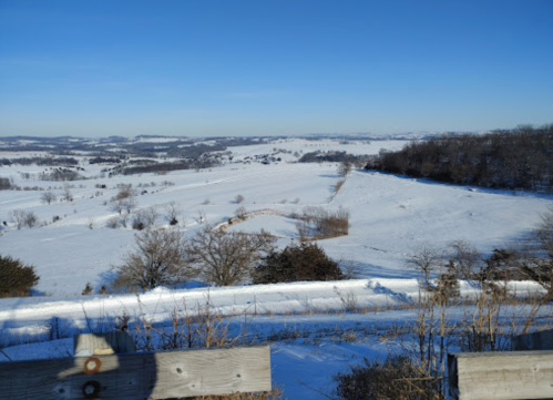 A snowy landscape stretches across rolling hills under a clear blue sky, with sparse trees dotting the scene.