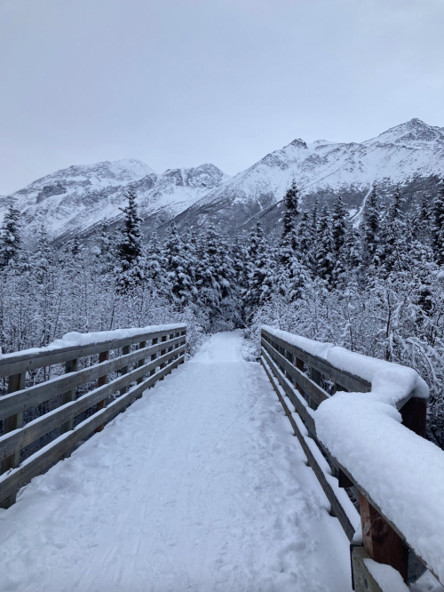A snow-covered bridge leads through a winter landscape with mountains and trees blanketed in white.