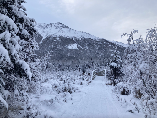 A snowy landscape with a wooden bridge leading into a winter forest, surrounded by mountains in the background.