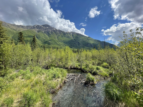 A serene landscape featuring a stream surrounded by lush greenery and mountains under a partly cloudy sky.