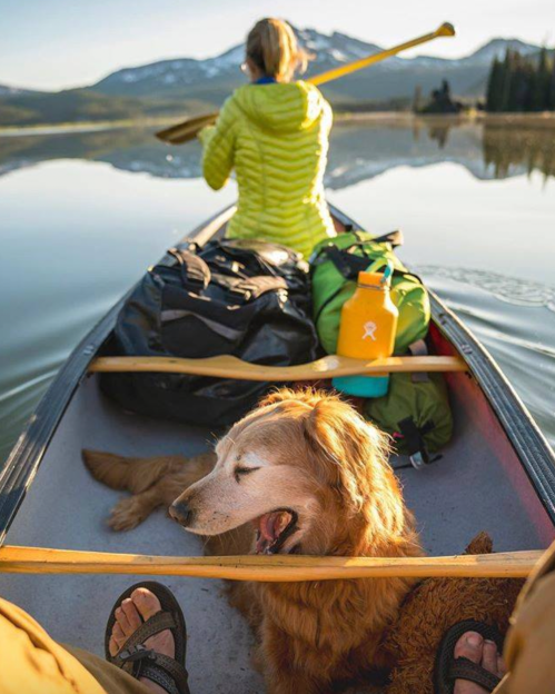 A person paddles a canoe with a golden retriever resting beside them, surrounded by bags and a scenic mountain backdrop.