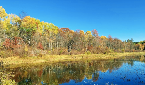 A serene landscape featuring a calm pond reflecting colorful autumn trees under a clear blue sky.