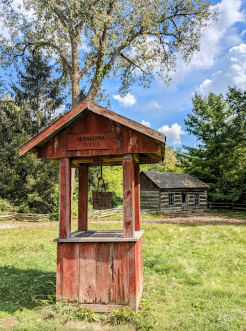 A rustic wishing well with a wooden roof stands in a grassy area, with a log cabin and trees in the background.