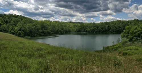 A serene lake surrounded by lush green trees under a cloudy sky.