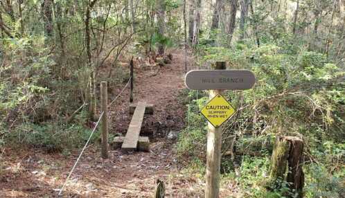 A wooden bridge over a small creek in a forest, with a sign reading "Hill Branch" and a caution sign for slippery conditions.