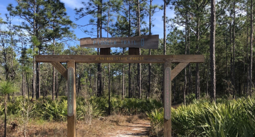 Wooden sign marking the entrance to the Flower Trail in Jennings State Forest, surrounded by tall pine trees and greenery.