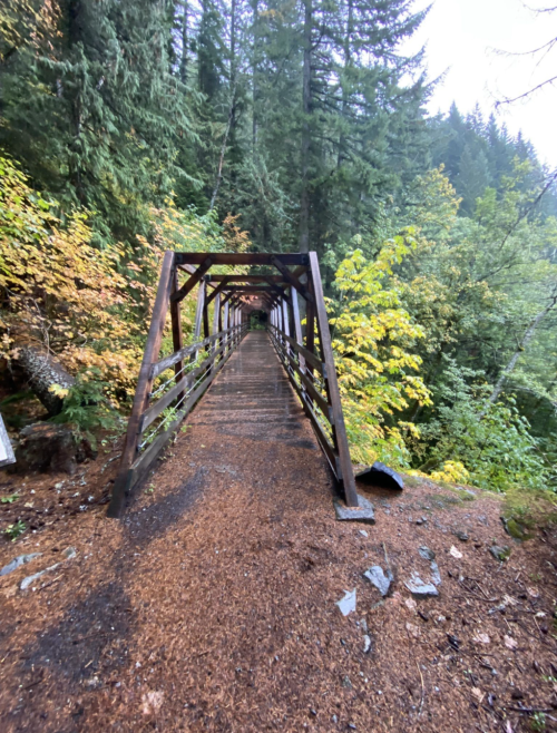 A wooden bridge surrounded by lush green trees and autumn foliage, leading into a misty forest.