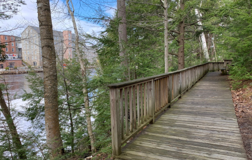 A wooden walkway surrounded by trees, leading to a calm water body with buildings in the background.