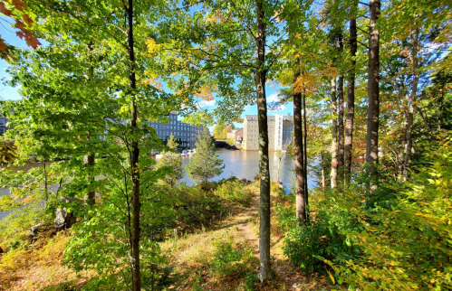 A serene view of a river surrounded by trees and colorful autumn foliage, with buildings in the background.