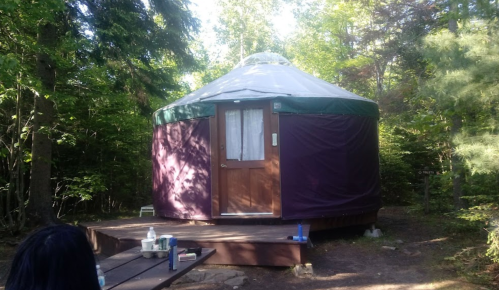 A yurt surrounded by trees, with a wooden deck and a door, set in a natural, wooded environment.