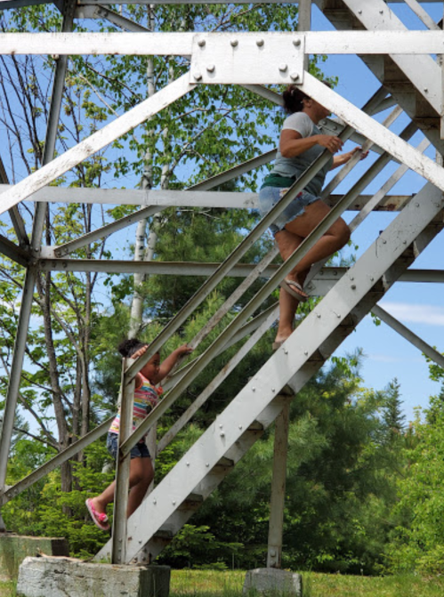 Two children climb a metal staircase surrounded by greenery under a clear blue sky.