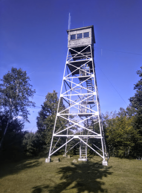 A tall wooden fire lookout tower stands on a grassy area, surrounded by trees under a clear blue sky.