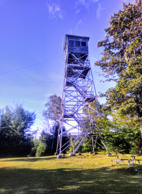 A tall metal fire tower stands in a grassy area surrounded by trees under a clear blue sky.