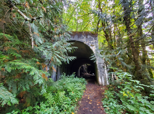 A moss-covered concrete archway surrounded by lush green trees and ferns, leading into a dark tunnel.