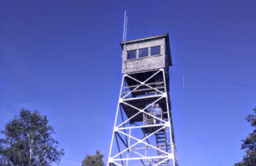 A tall wooden observation tower with a ladder, set against a clear blue sky and surrounded by trees.