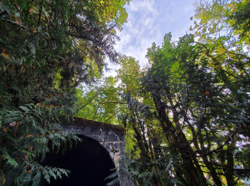 A stone tunnel entrance surrounded by lush green trees and a bright blue sky peeking through the foliage.
