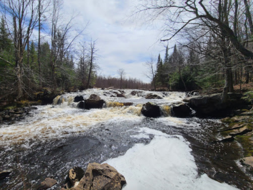 A serene river flows over rocks, surrounded by trees and a cloudy sky, creating a peaceful natural scene.