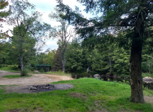 A serene outdoor scene featuring a grassy area, a fire pit, and trees near a calm water body.