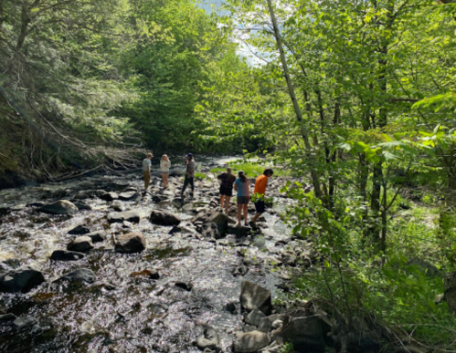 A group of people standing on rocks by a flowing creek, surrounded by lush green trees and sunlight.