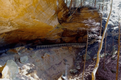 A rocky cliff with a wooden walkway surrounded by trees in a serene natural setting.
