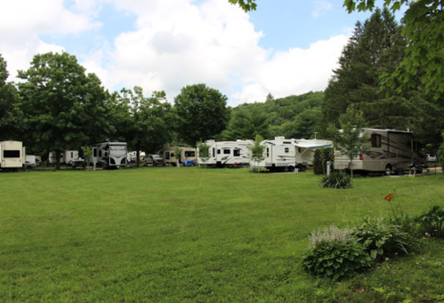 A grassy area with several RVs parked under trees, surrounded by greenery and a cloudy sky.