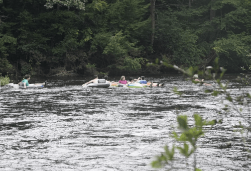 A group of people floating on inner tubes down a river surrounded by lush greenery.