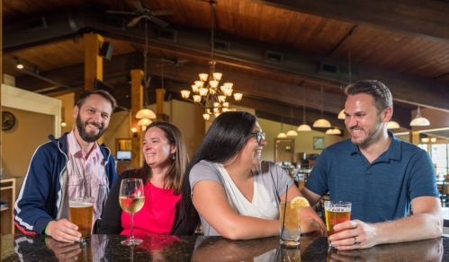 Four friends enjoy drinks and laughter at a bar, with a warm, inviting atmosphere in the background.