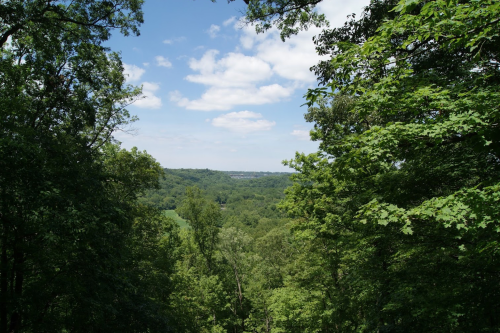 A scenic view of lush green trees framing a valley under a blue sky with scattered clouds.