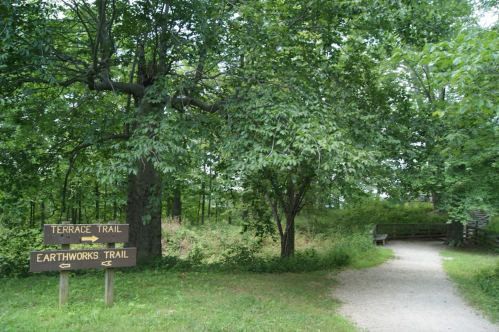 A path diverges between two trail signs: "Terrace Trail" and "Earthworks Trail," surrounded by lush greenery.