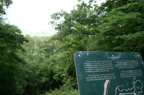 A view of a lush green forest with a sign detailing historical information about the area.