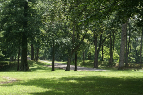 A serene park scene with lush green trees and a winding path through the grass.